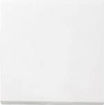 GIRA kryt přepínač, vypínač, křížový spínač Systém 55, Stamdard 55, E2, Event, Event čistý, Event průhledný, Esprit, ClassiX bílá zářivá 029603 1 ks