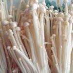 Enoki 100 g.