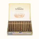 San Cristobal de la H. El Morro 25 kusů