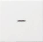 GIRA kryt kontrolní spínač Systém 55, Stamdard 55, E2, Event, Event čistý, Event průhledný, Esprit, ClassiX čistě bílá, matná 029027 1 ks