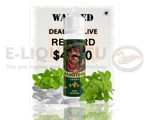Bandidos - Příchuť Shake&Vape 10ml - Mint Menthol