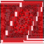 Šátek TRAINMEN ČERVENOČERNÝ