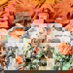 Tommy Lise  Látkové pleny  | Scarlet Dreams Set