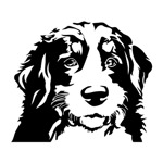 Samolepka Bernský salašnický na auto a motorku, tuning nálepka (1924)