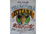 Jánský Petr Tramská kytara 1  Učebnice vybrnkávání