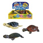 Želva strečová, 15cm