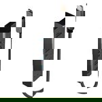 LINDY 43325 USB Hub 4 porty USB-A USB 3.2 Gen1 5 GBit/s s konektorem USB C šedá 43325