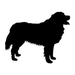 Samolepka Bernský salašnický na auto a motorku, tuning nálepka (1927)