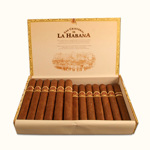 San Cristobal de la H. La Fuerza 25 kusů