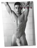 Nástěnný kalendář REAL COCKS 2026