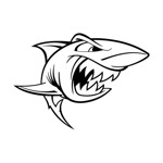 Samolepka shark na auto a motorku, tuning nálepka (3632)
