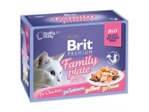 Kapsičky BRIT Premium Cat Delicate Fillets in Jelly Family Plate 1020g