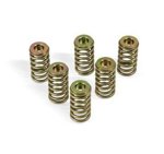 Spojkové pružiny SUZUKI GSF 600/GSF 600S Bandit