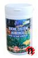 Práškový čistič pro suché číštění koberců - Horská louka 300g Jolly