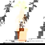 Harry Potter - interaktivní plyšák Mandrake 40 cm