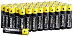 Intenso 7501510 mikrotužková baterie AAA alkalicko-manganová 1250 mAh 1.5 V 40 ks
